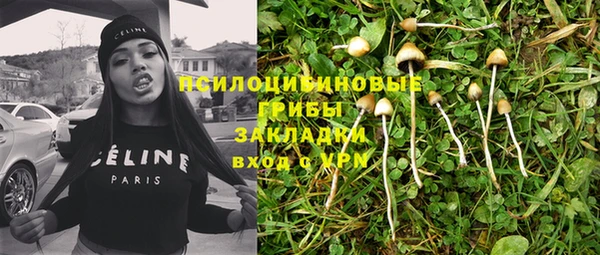 mdpv Богданович