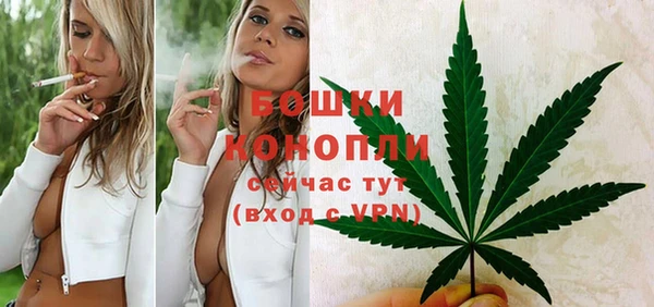 амф Богородицк