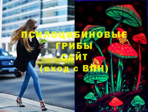 mdpv Богданович