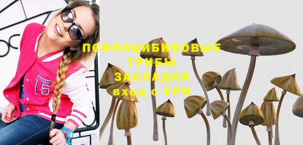 mdpv Богданович