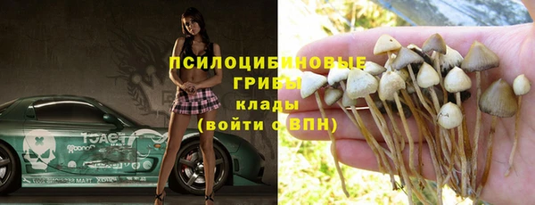 амф Богородицк