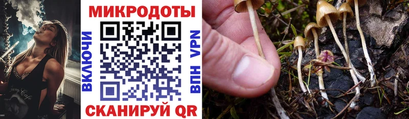 Галлюциногенные грибы прущие грибы  Якутск 